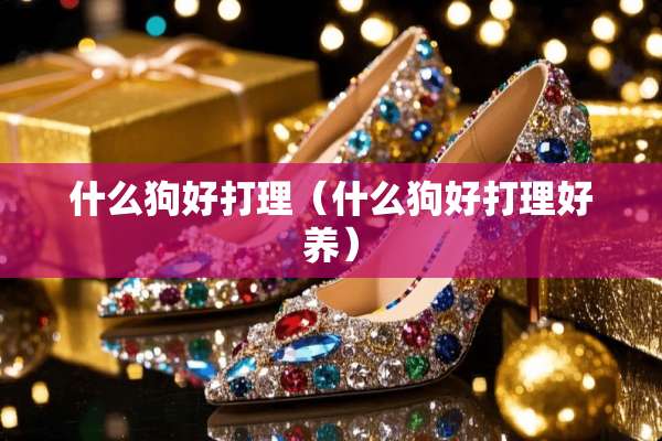什么狗好打理（什么狗好打理好养）