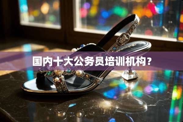 国内十大公务员培训机构？