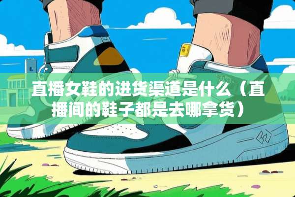 直播女鞋的进货渠道是什么（直播间的鞋子都是去哪拿货）