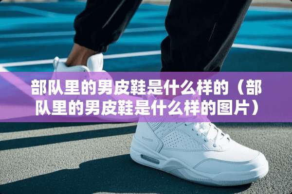 **里的男皮鞋是什么样的（**里的男皮鞋是什么样的图片）