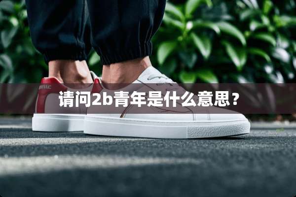 请问2b青年是什么意思？