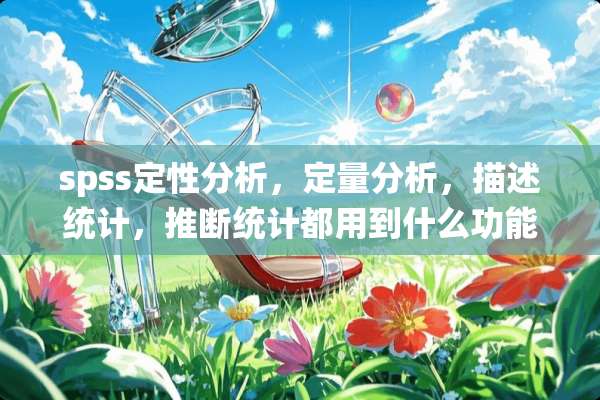 spss定性分析，定量分析，描述统计，推断统计都用到什么功能