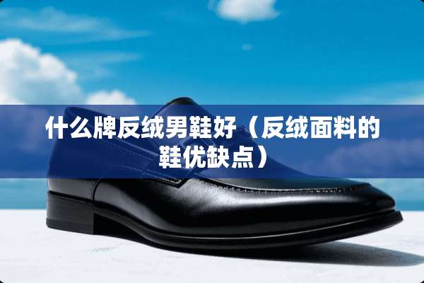 什么牌反绒男鞋好（反绒面料的鞋优缺点）