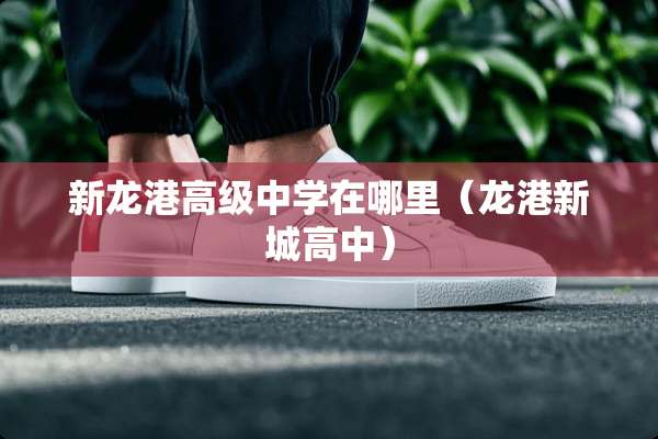 新龙港高级中学在哪里（龙港新城高中）