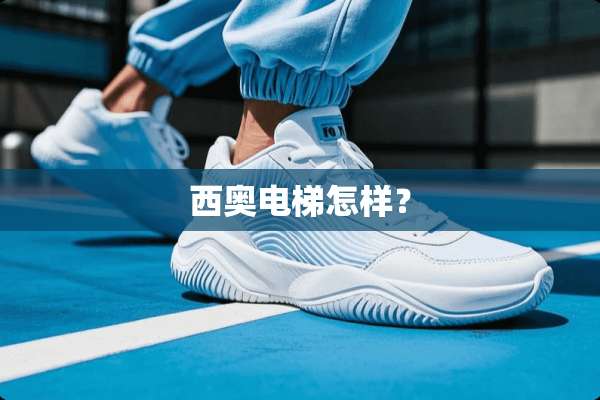 西奥电梯怎样？