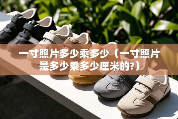 一寸照片多少乘多少（一寸照片是多少乘多少厘米的?）