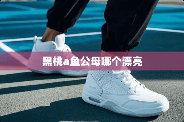 黑桃a鱼公母哪个漂亮