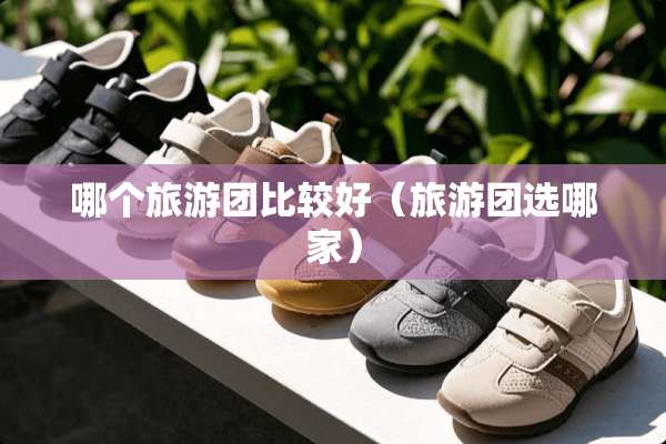 哪个旅游团比较好（旅游团选哪家）