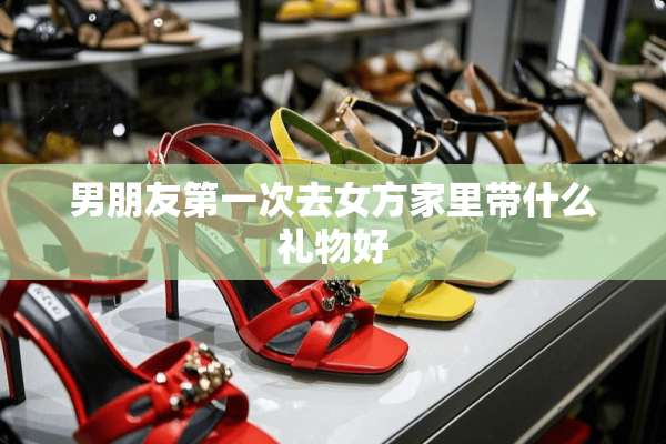 男朋友第一次去女方家里带什么礼物好