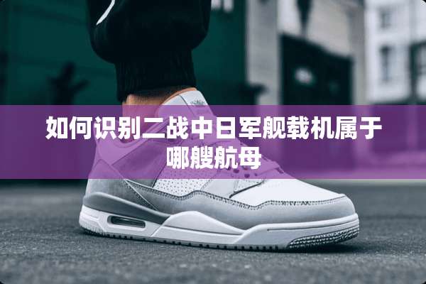 如何识别二战中日军舰载机属于哪艘航母