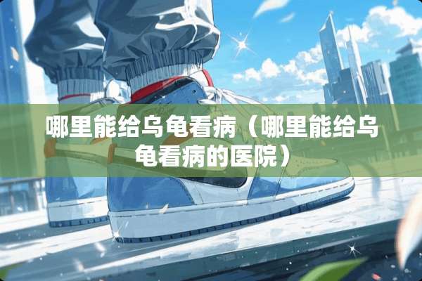 哪里能给乌龟看病（哪里能给乌龟看病的医院）