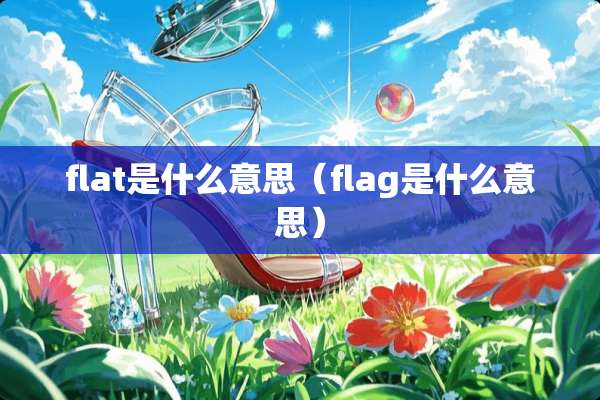 flat是什么意思（flag是什么意思）