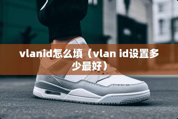 vlanid怎么填（vlan id设置多少最好）