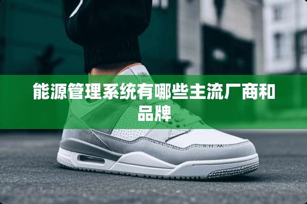 能源管理系统有哪些主流厂商和品牌