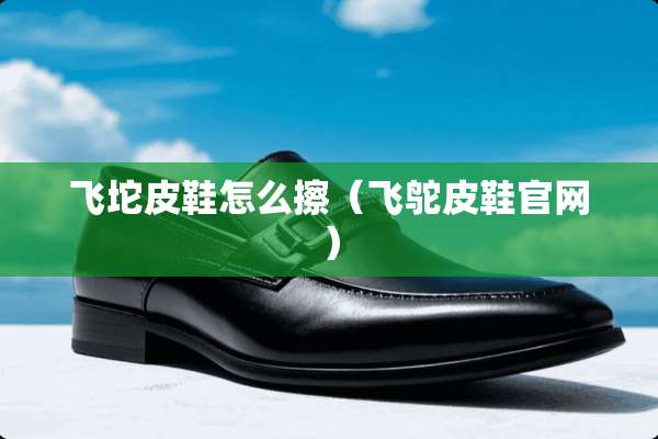 飞坨皮鞋怎么擦（飞鸵皮鞋官网）