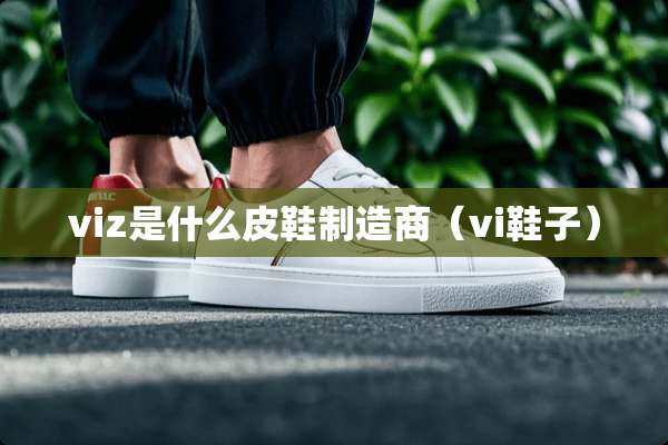 viz是什么皮鞋制造商（vi鞋子）