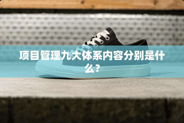项目管理九大体系内容分别是什么？