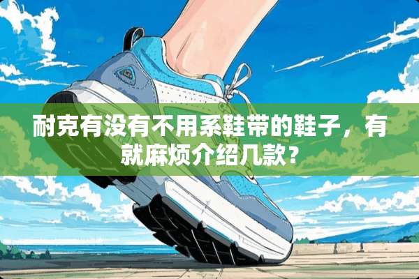 耐克有没有不用系鞋带的鞋子，有就麻烦介绍几款？