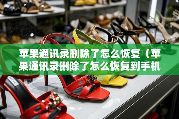 苹果通讯录删除了怎么恢复（苹果通讯录删除了怎么恢复到手机）