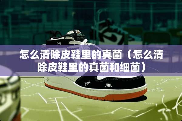 怎么清除皮鞋里的真菌（怎么清除皮鞋里的真菌和细菌）