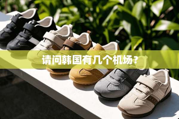 请问韩国有几个机场？