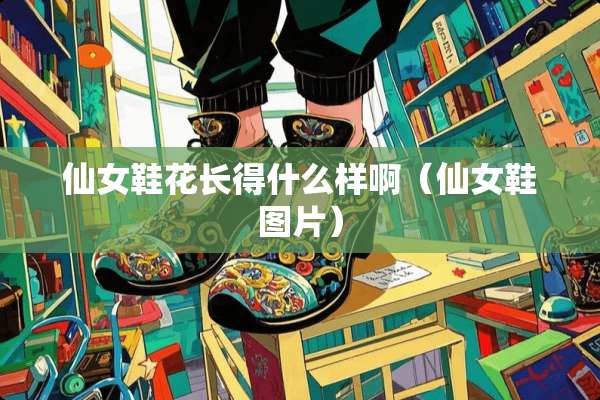 仙女鞋花长得什么样啊（仙女鞋图片）