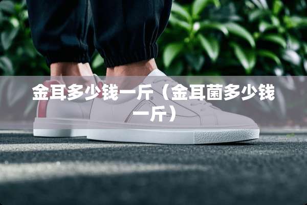 金耳多少钱一斤（金耳菌多少钱一斤）