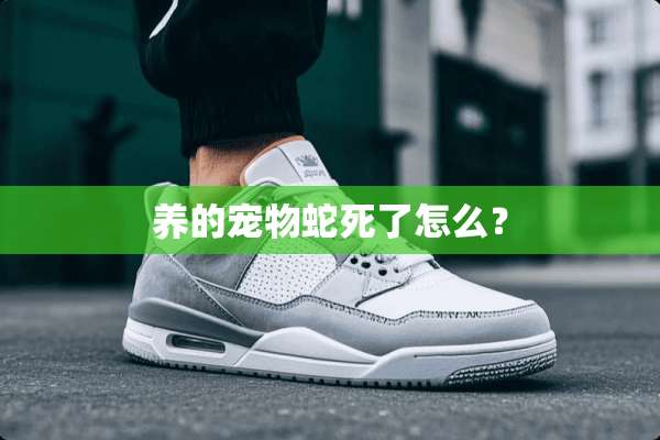 养的宠物蛇死了怎么？