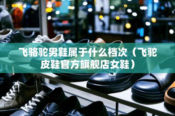 飞骆驼男鞋属于什么档次（飞驼皮鞋官方旗舰店女鞋）