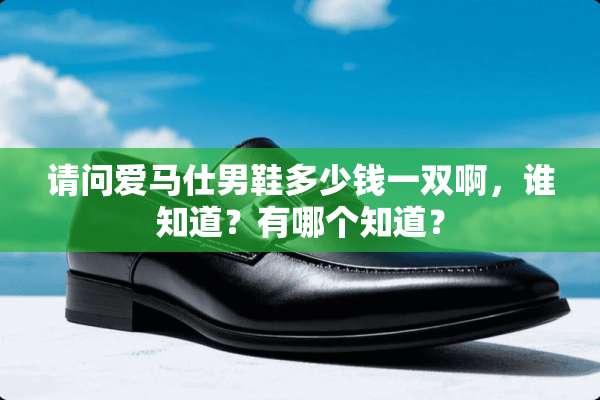 请问爱马仕男鞋多少钱一双啊，谁知道？有哪个知道？