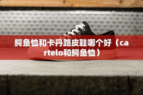 鳄鱼恤和卡丹路皮鞋哪个好（cartelo和鳄鱼恤）
