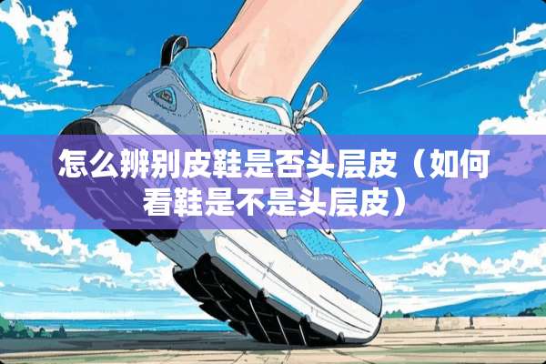 怎么辨别皮鞋是否头层皮（如何看鞋是不是头层皮）