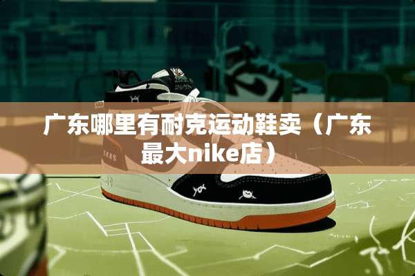 广东哪里有耐克运动鞋卖（广东最大nike店）