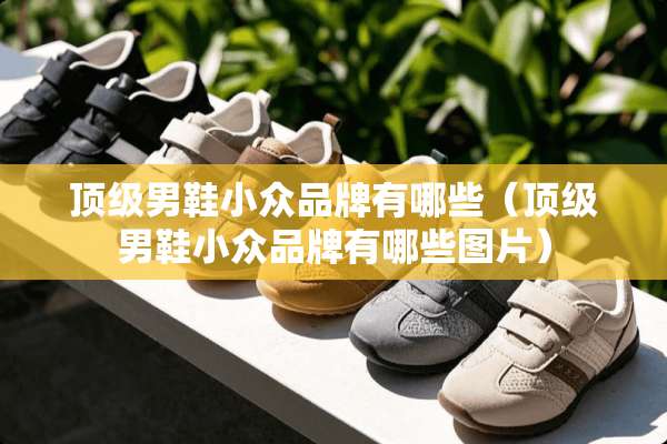 **男鞋小众品牌有哪些（**男鞋小众品牌有哪些图片）
