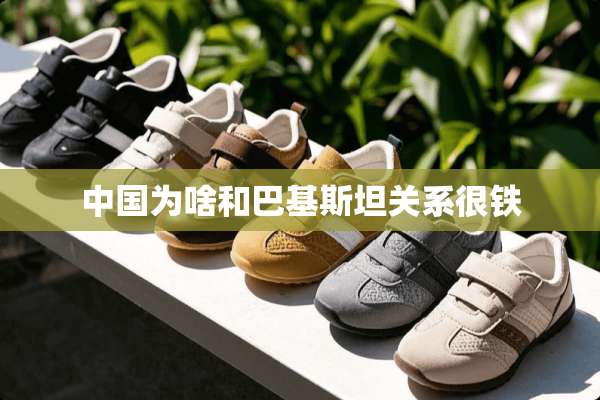 中国为啥和巴基斯坦关系很铁