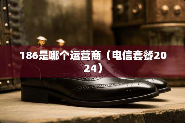 186是哪个运营商（电信套餐2024）