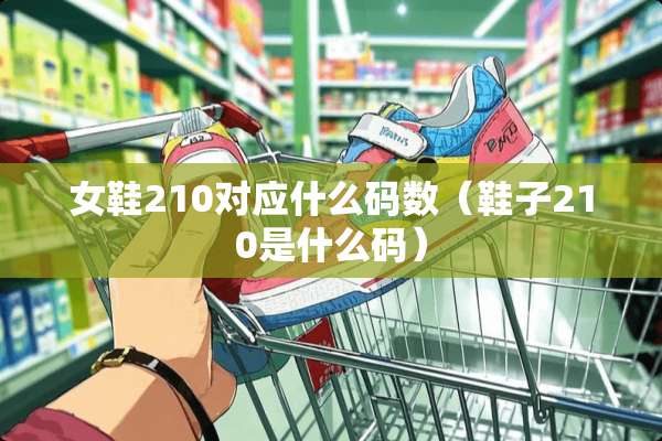 女鞋210对应什么码数（鞋子210是什么码）