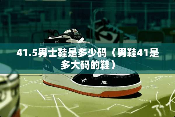 41.5男士鞋是多少码（男鞋41是多大码的鞋）