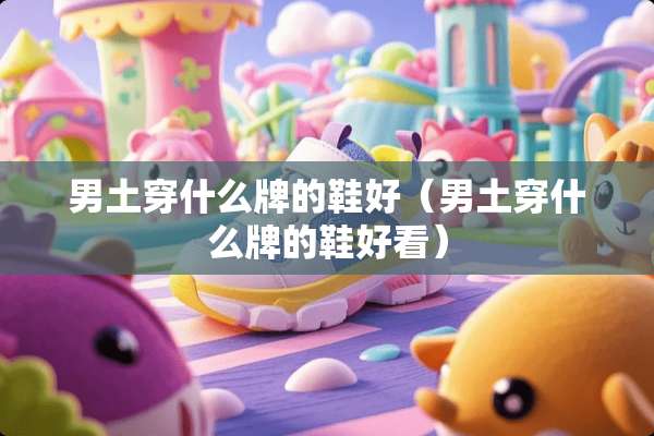 男土穿什么牌的鞋好（男土穿什么牌的鞋好看）