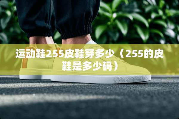 运动鞋255皮鞋穿多少（255的皮鞋是多少码）