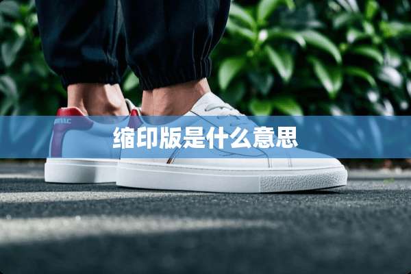 缩印版是什么意思