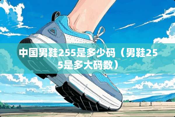 中国男鞋255是多少码（男鞋255是多大码数）