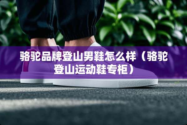 骆驼品牌登山男鞋怎么样（骆驼登山运动鞋专柜）