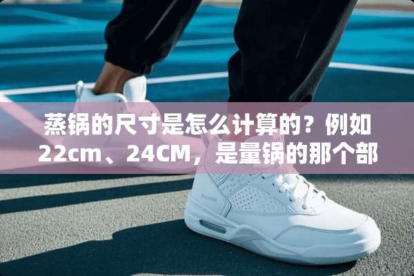 蒸锅的尺寸是怎么计算的？例如22cm、24CM，是量锅的那个部位？