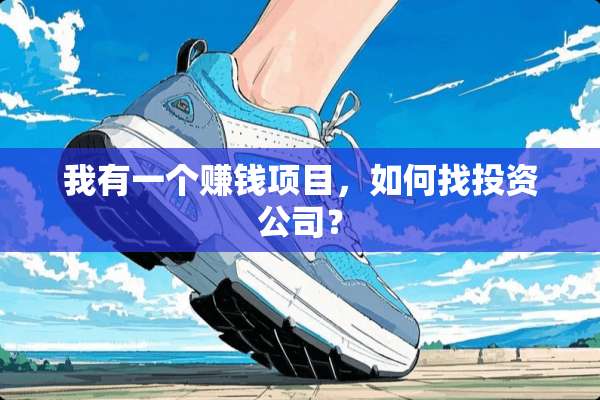 我有一个赚钱项目，如何找投资公司？