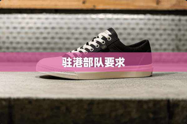 驻港**要求