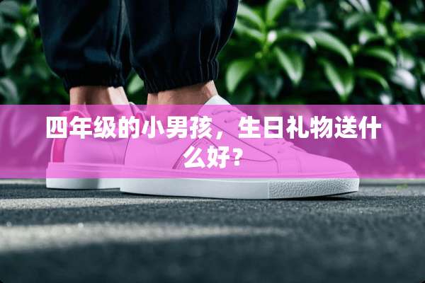 四年级的小男孩，生日礼物送什么好？