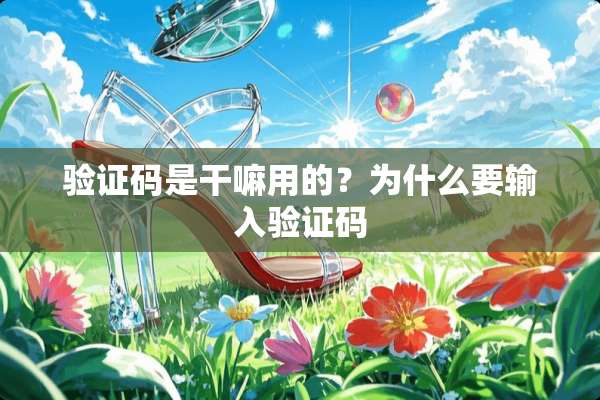 验证码是干嘛用的？为什么要输入验证码