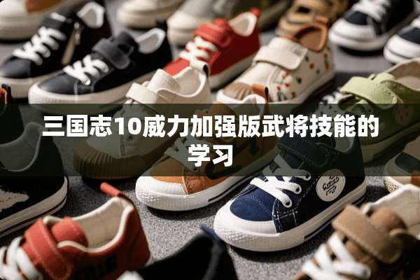 三国志10威力加强版武将技能的学习