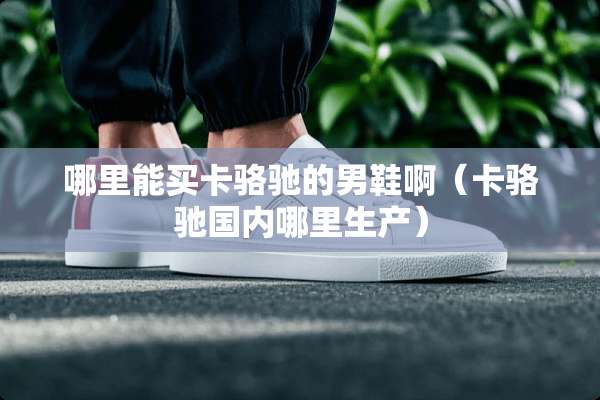 哪里能买卡骆驰的男鞋啊（卡骆驰国内哪里生产）